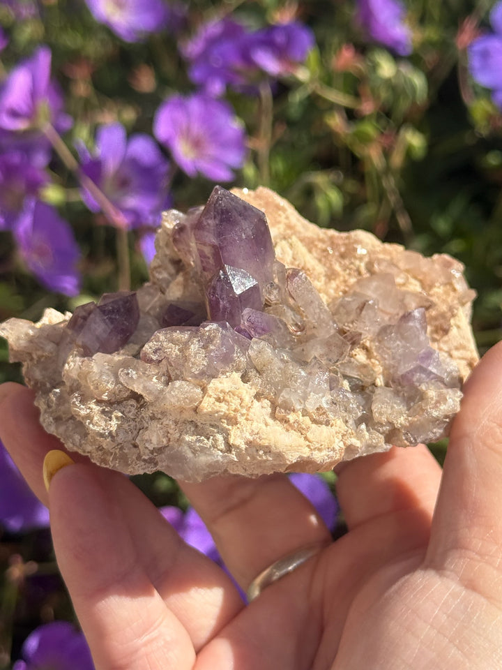 Brandberg Amethyst Specimen from Goboboseb