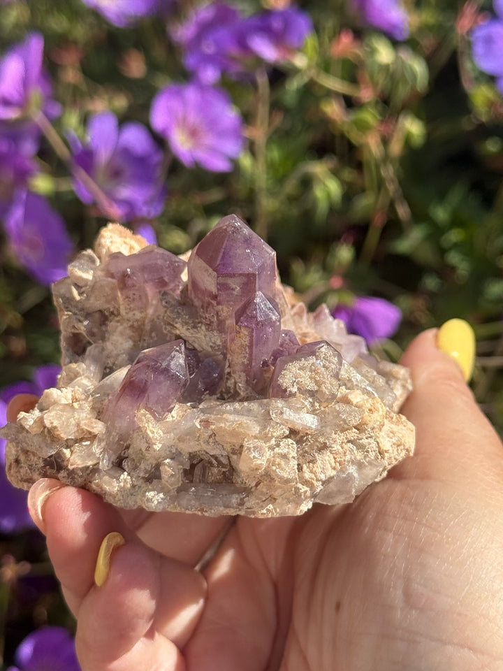 Brandberg Amethyst Specimen from Goboboseb