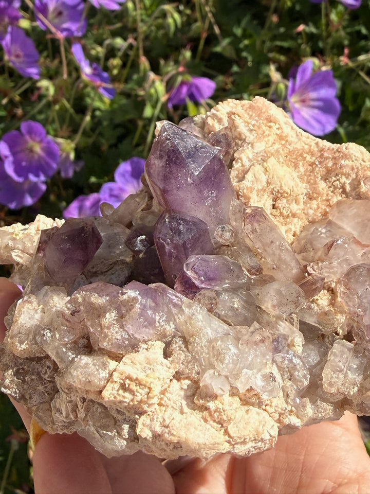 Brandberg Amethyst Specimen from Goboboseb