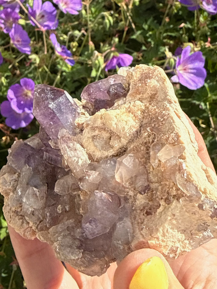 Brandberg Amethyst Specimen from Goboboseb