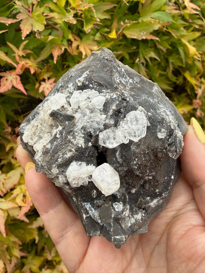 Diamond Quartz on Septarian Nodule Specimen from Auvergne-Rhône-Alpes, France