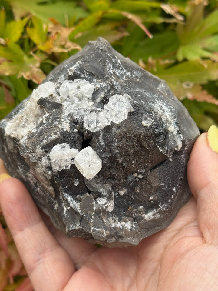 Diamond Quartz on Septarian Nodule Specimen from Auvergne-Rhône-Alpes, France