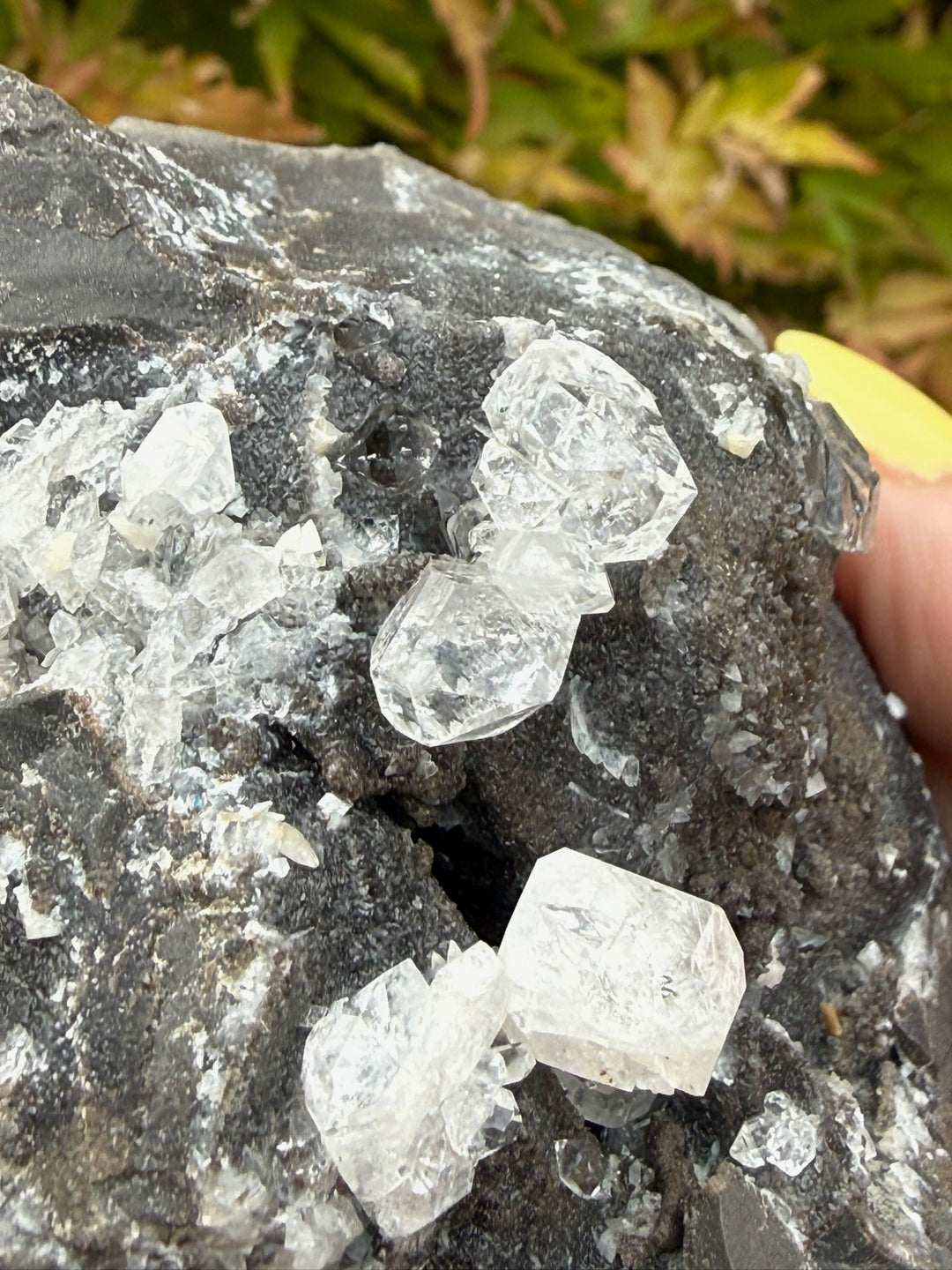 Diamond Quartz on Septarian Nodule Specimen from Auvergne-Rhône-Alpes, France