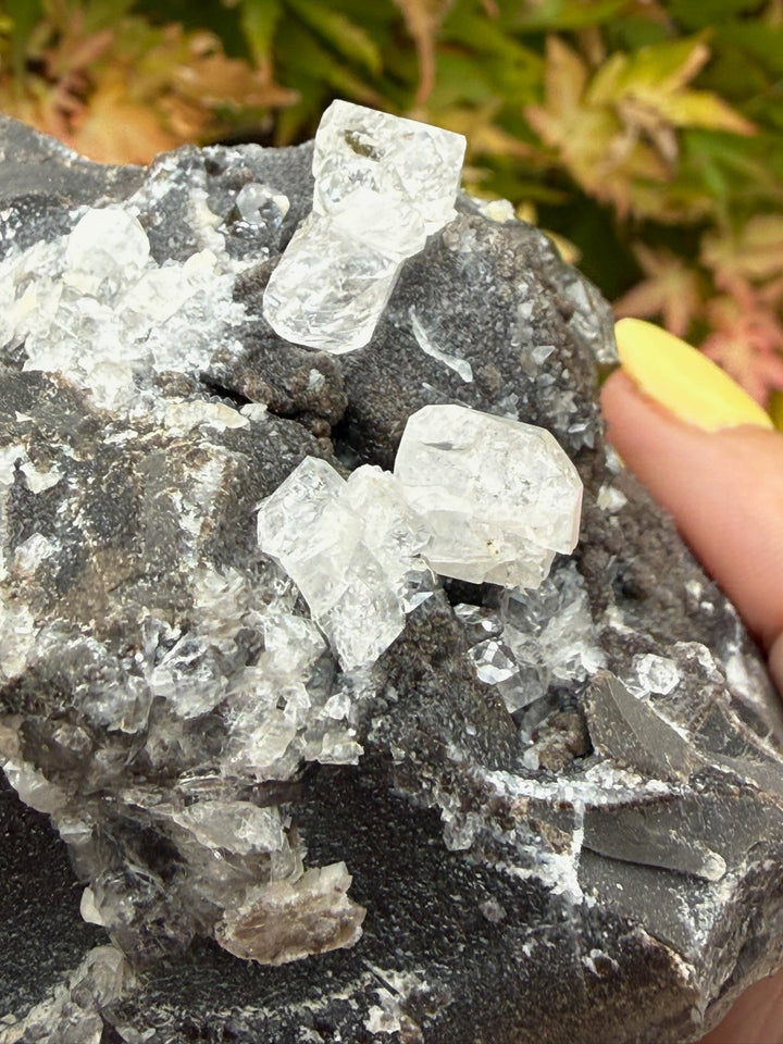 Diamond Quartz on Septarian Nodule Specimen from Auvergne-Rhône-Alpes, France