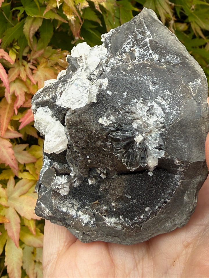 Diamond Quartz on Septarian Nodule Specimen from Auvergne-Rhône-Alpes, France