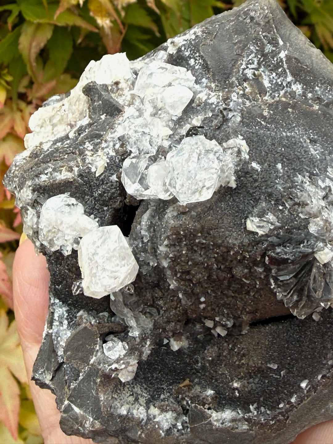 Diamond Quartz on Septarian Nodule Specimen from Auvergne-Rhône-Alpes, France