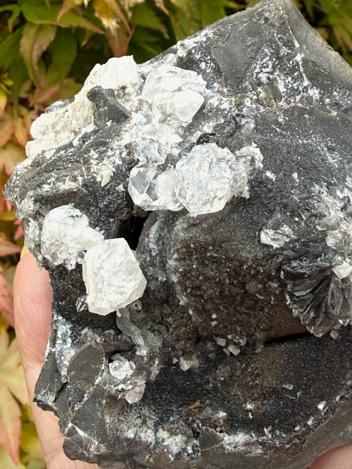 Diamond Quartz on Septarian Nodule Specimen from Auvergne-Rhône-Alpes, France