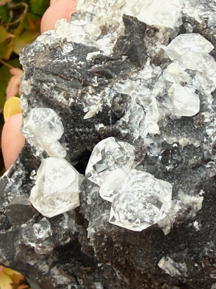 Diamond Quartz on Septarian Nodule Specimen from Auvergne-Rhône-Alpes, France