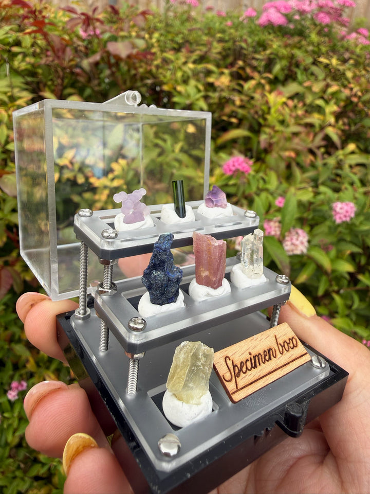 Complete Crystal Mineral Collection Box with Tourmaline