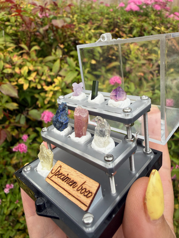 Complete Crystal Mineral Collection Box with Tourmaline