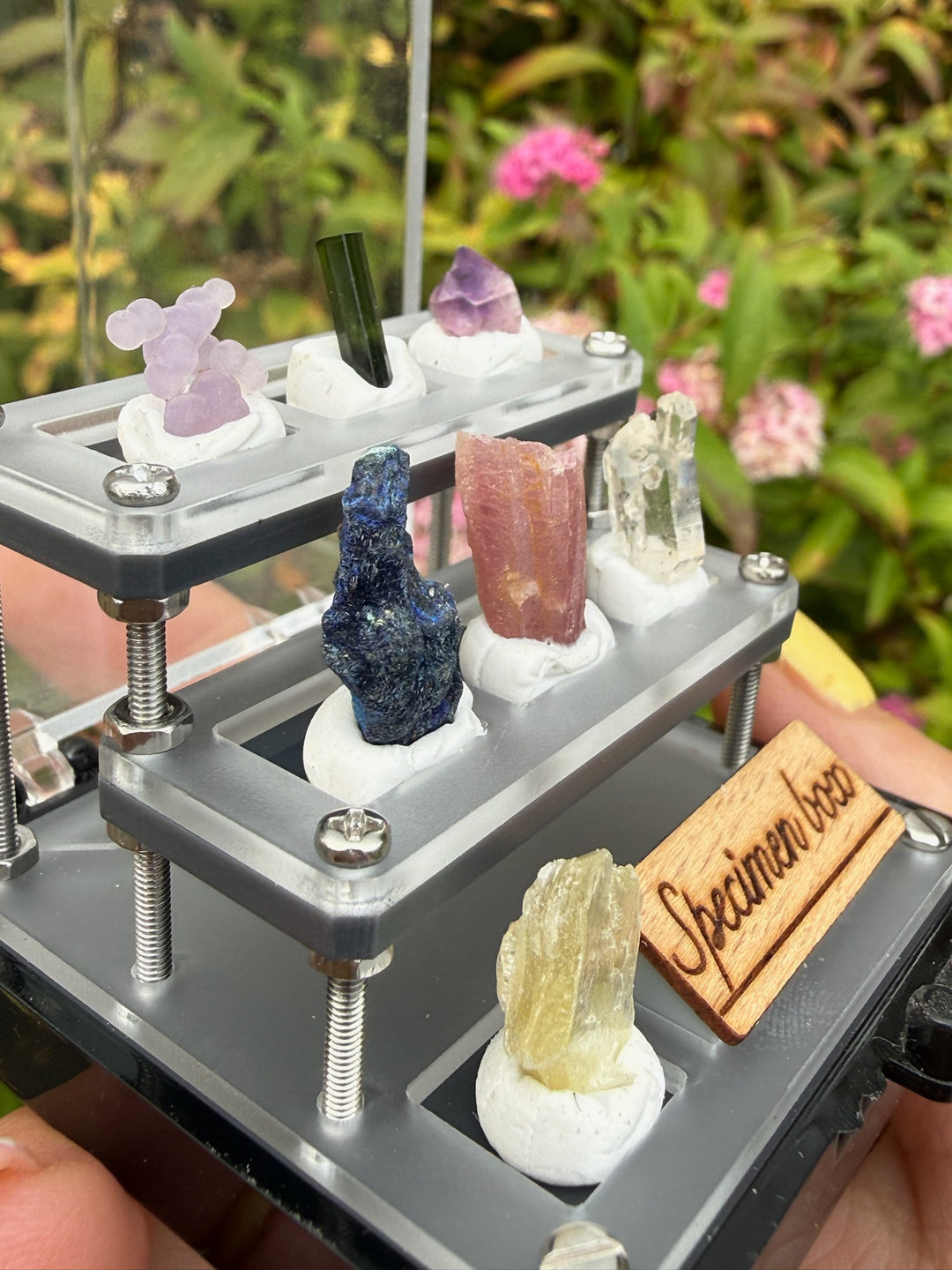Complete Crystal Mineral Collection Box with Tourmaline