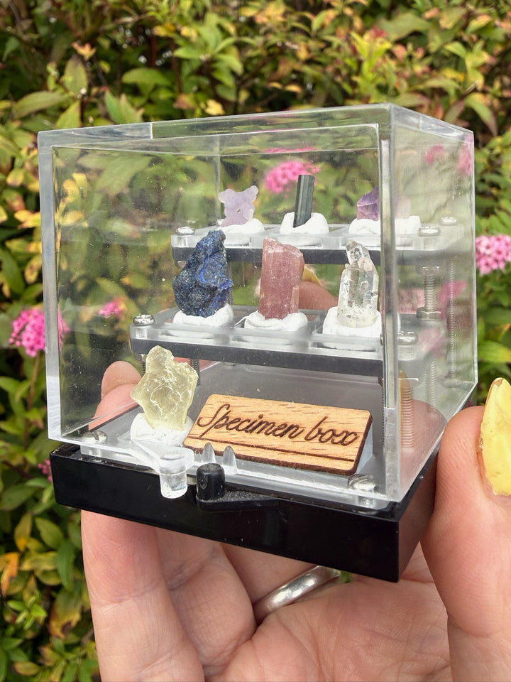 Complete Crystal Mineral Collection Box with Tourmaline