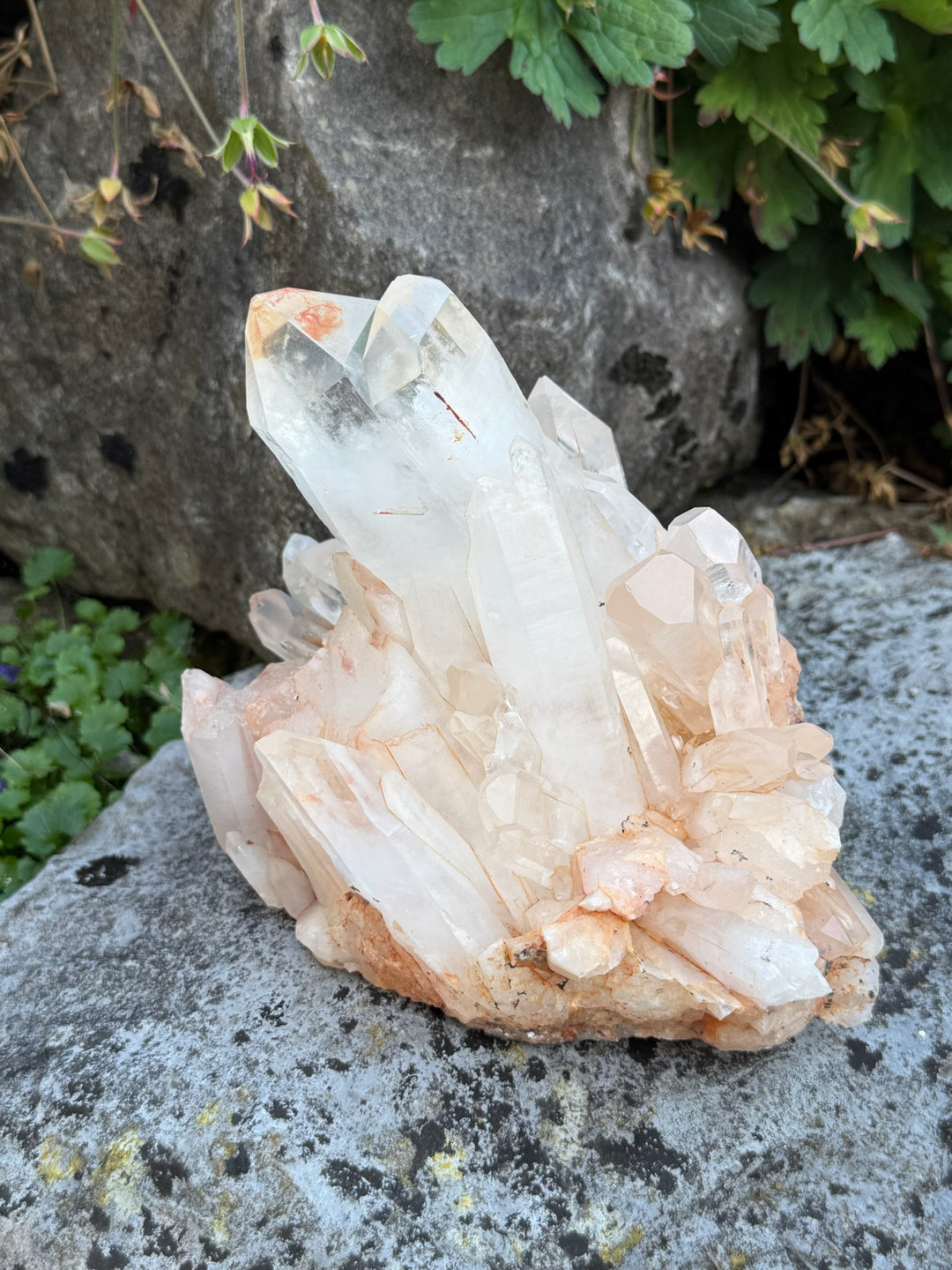 Statement Hematite Quartz Cluster Specimen 2.3kg