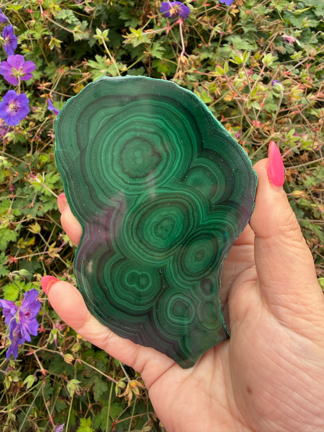 Large Malachite Slice Specimen