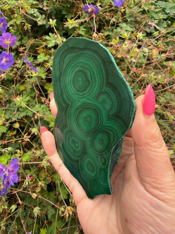 Large Malachite Slice Specimen