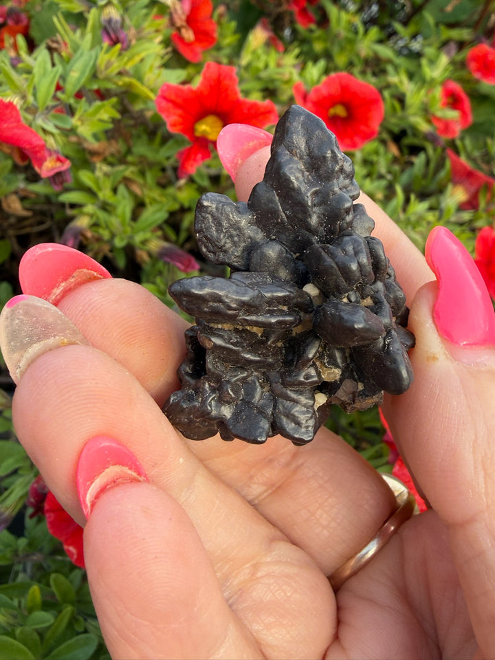 Unusual Prophecy Stone Specimen from Egypt