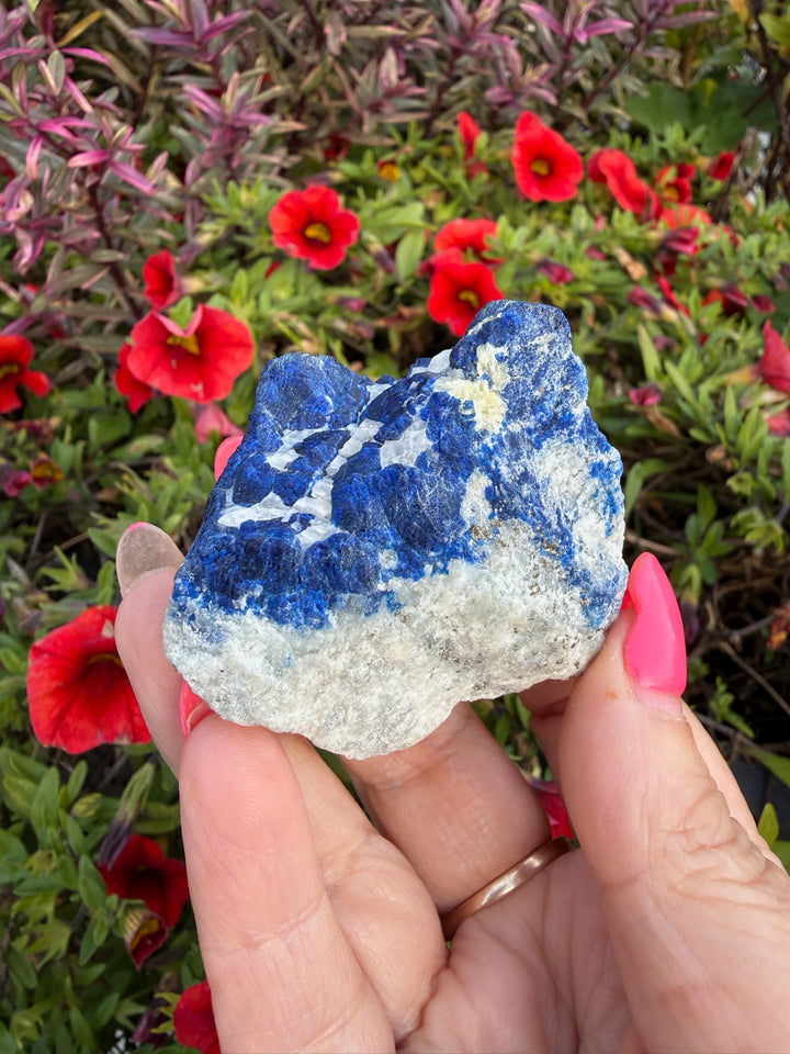 Large Blue Lazurite Specimen