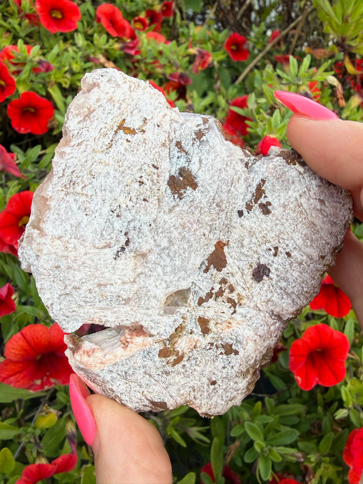 Barite (Baryte) and Calcite Specimen from Morocco