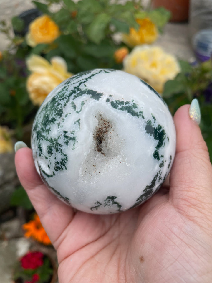 Large Tree Agate with Druzy Sphere