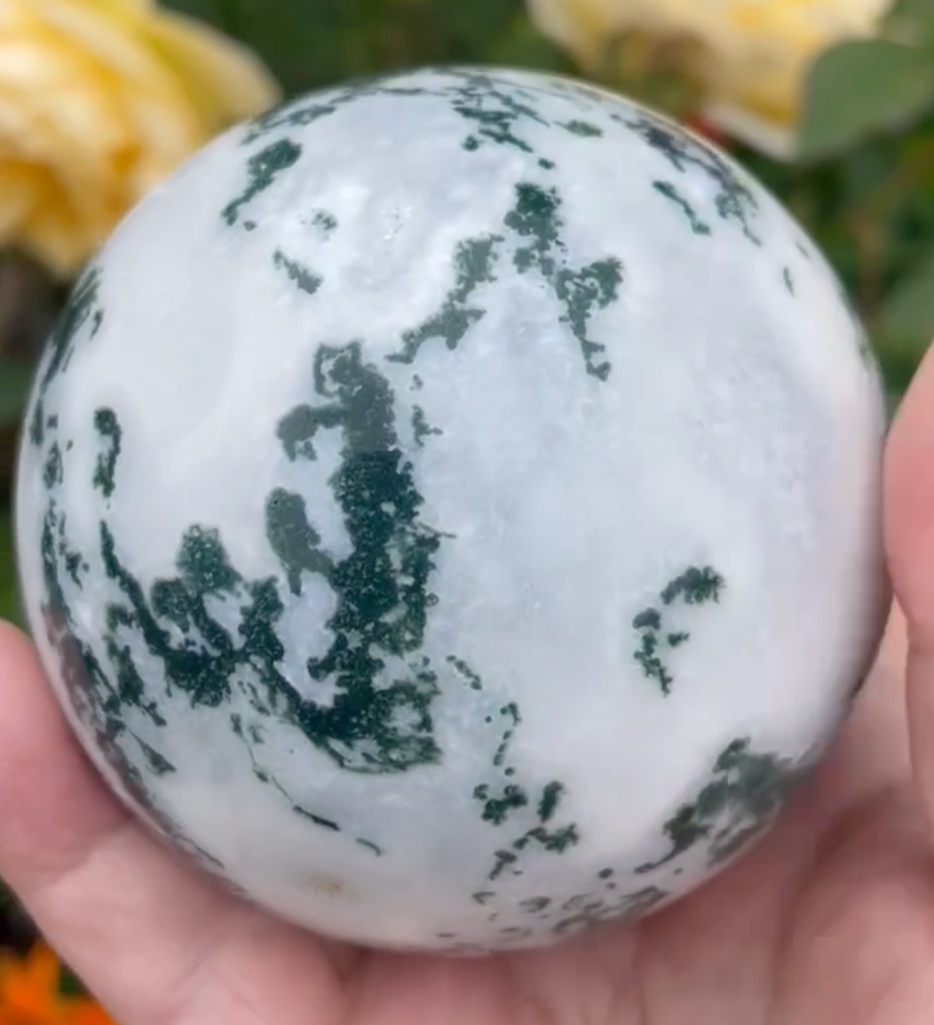 Large Tree Agate with Druzy Sphere