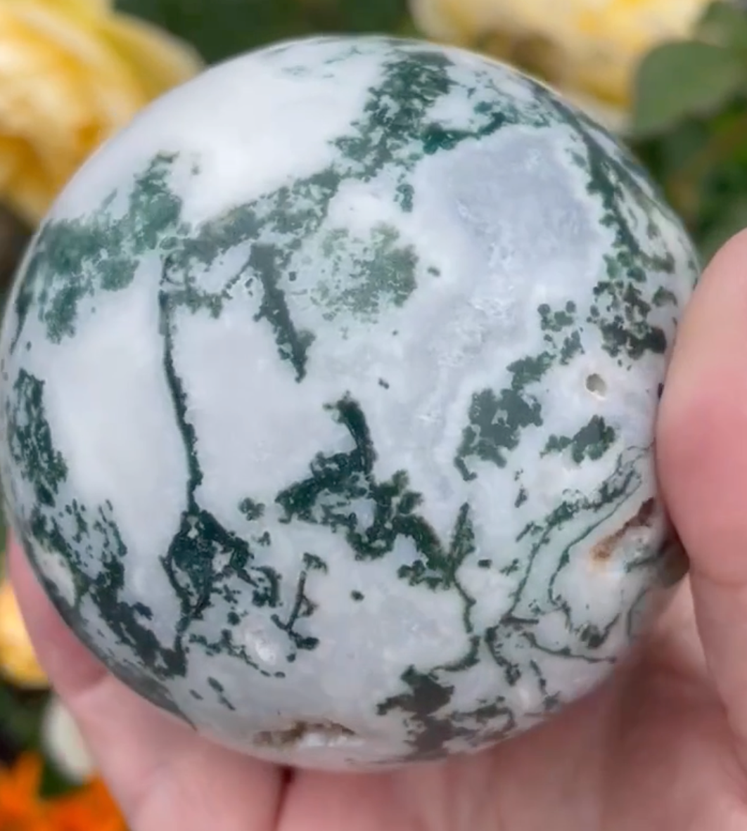 Large Tree Agate with Druzy Sphere