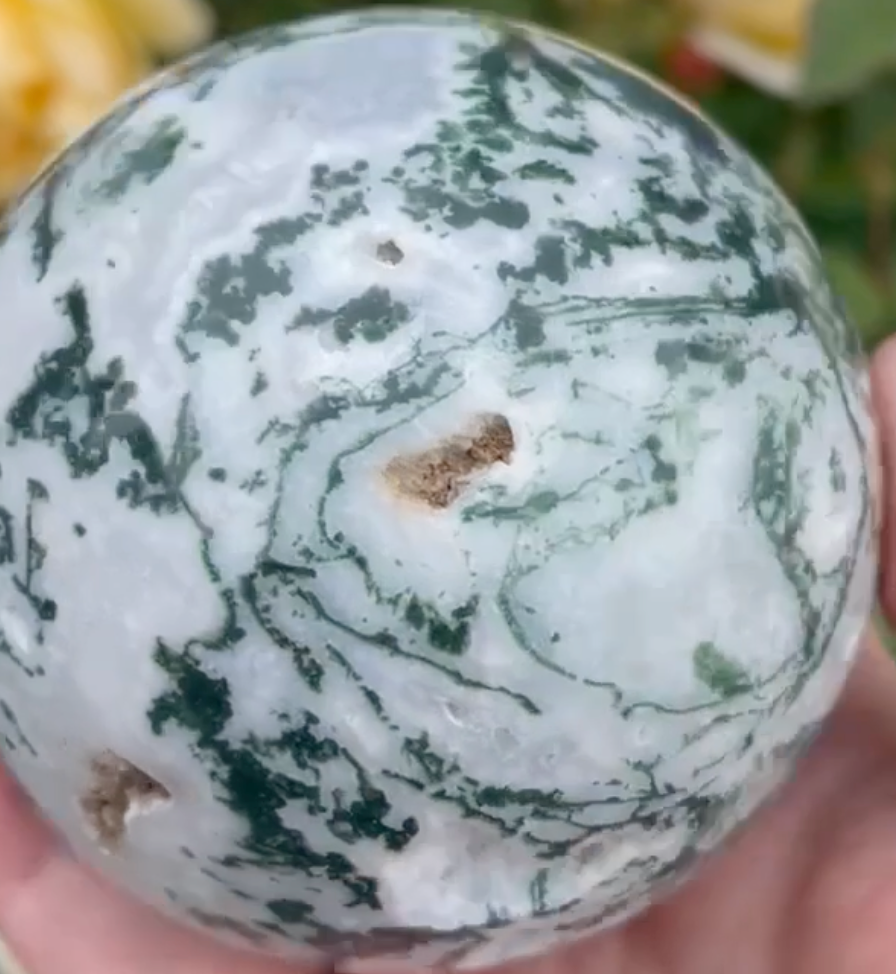 Large Tree Agate with Druzy Sphere