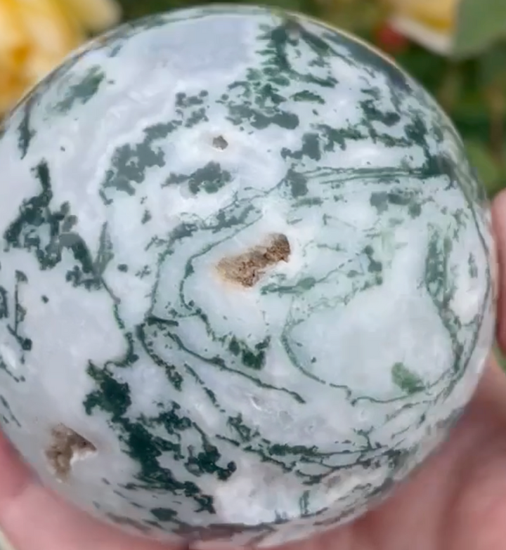 Large Tree Agate with Druzy Sphere