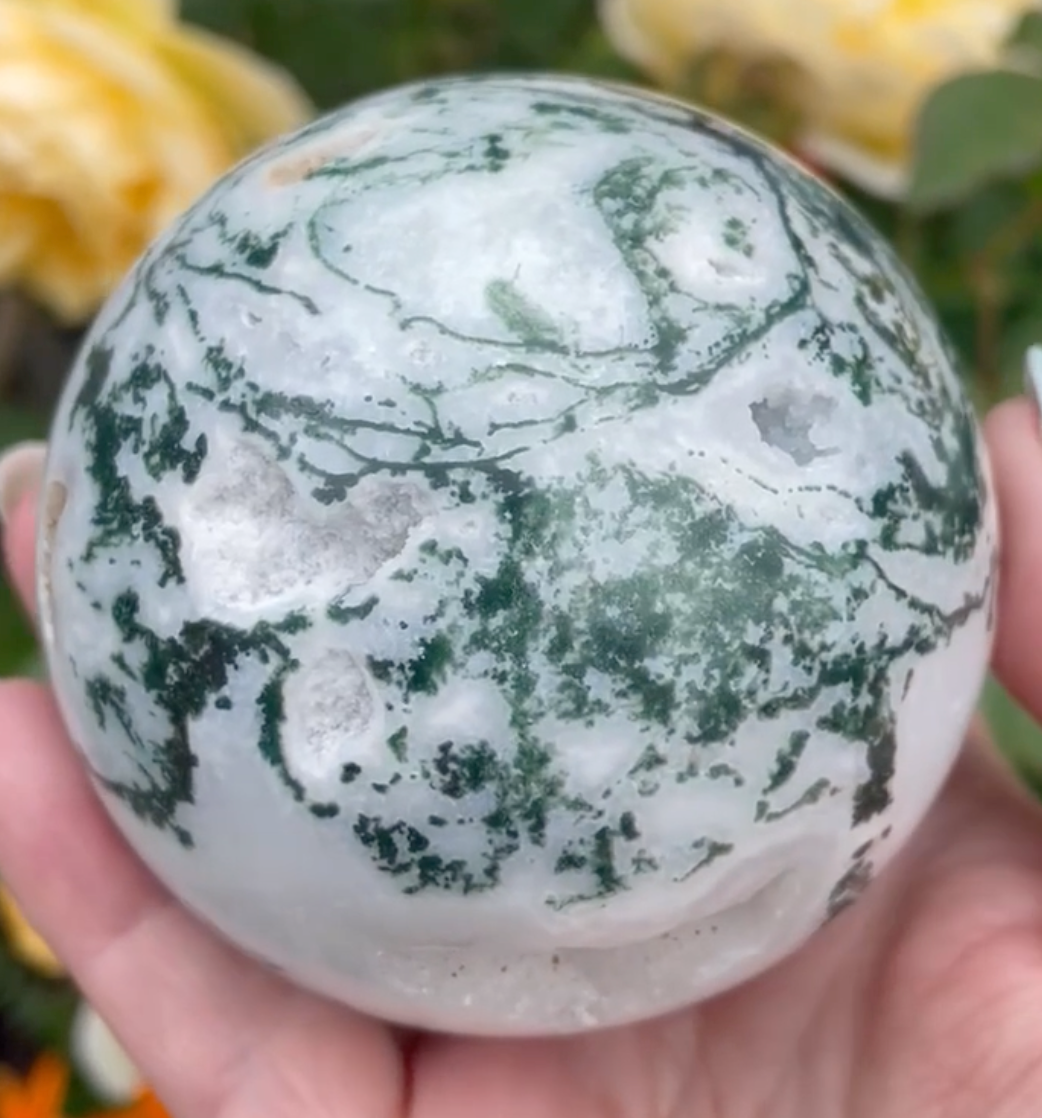Large Tree Agate with Druzy Sphere