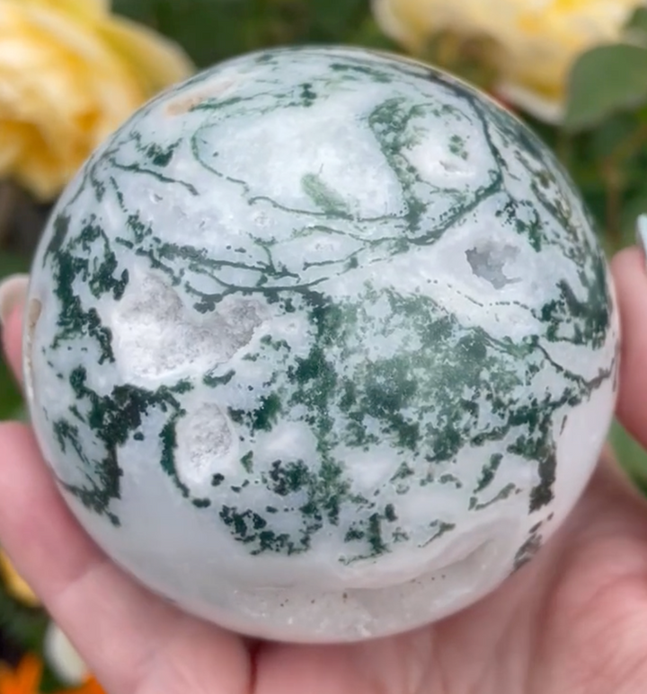 Large Tree Agate with Druzy Sphere