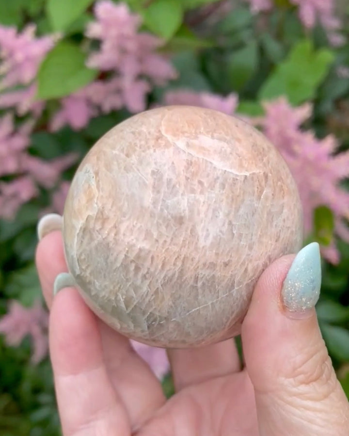 Peach Moonstone with Flash Sphere