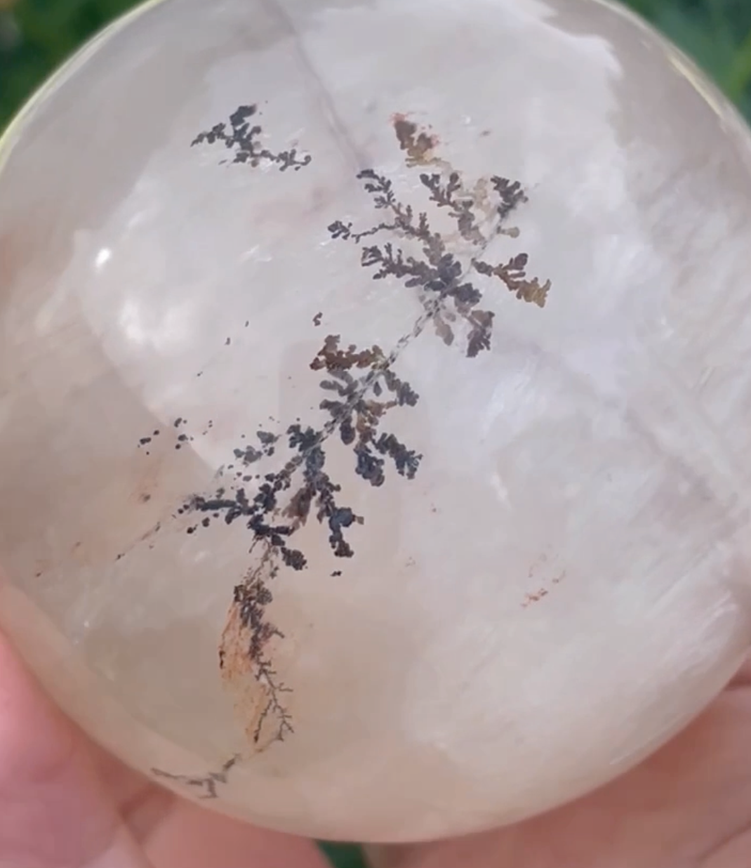 Rare Clear Dendritic Fluorite Sphere