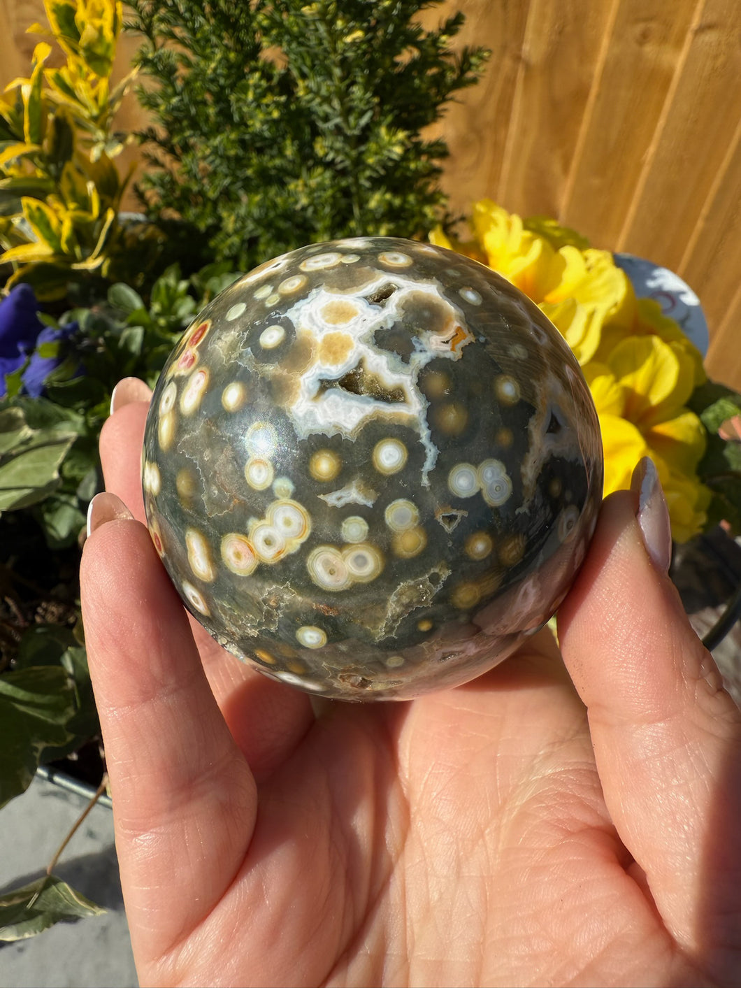 8th Vein Ocean Jasper Sphere with Druzy 6.3cm Dia