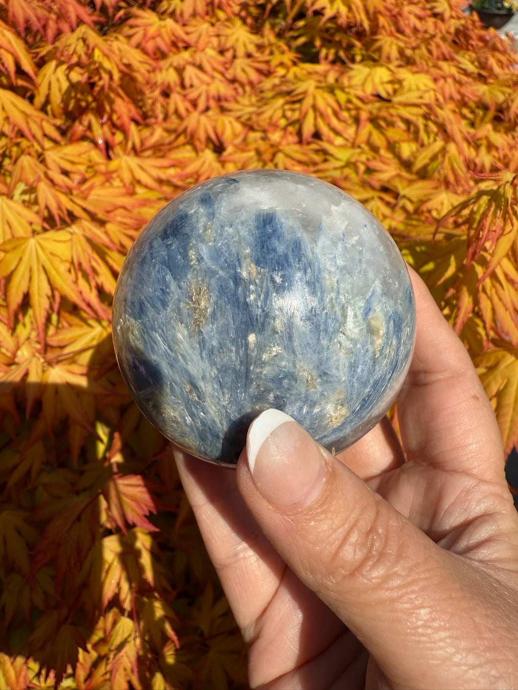 Blue Kyanite and Quartz Sphere 6.3cm Dia