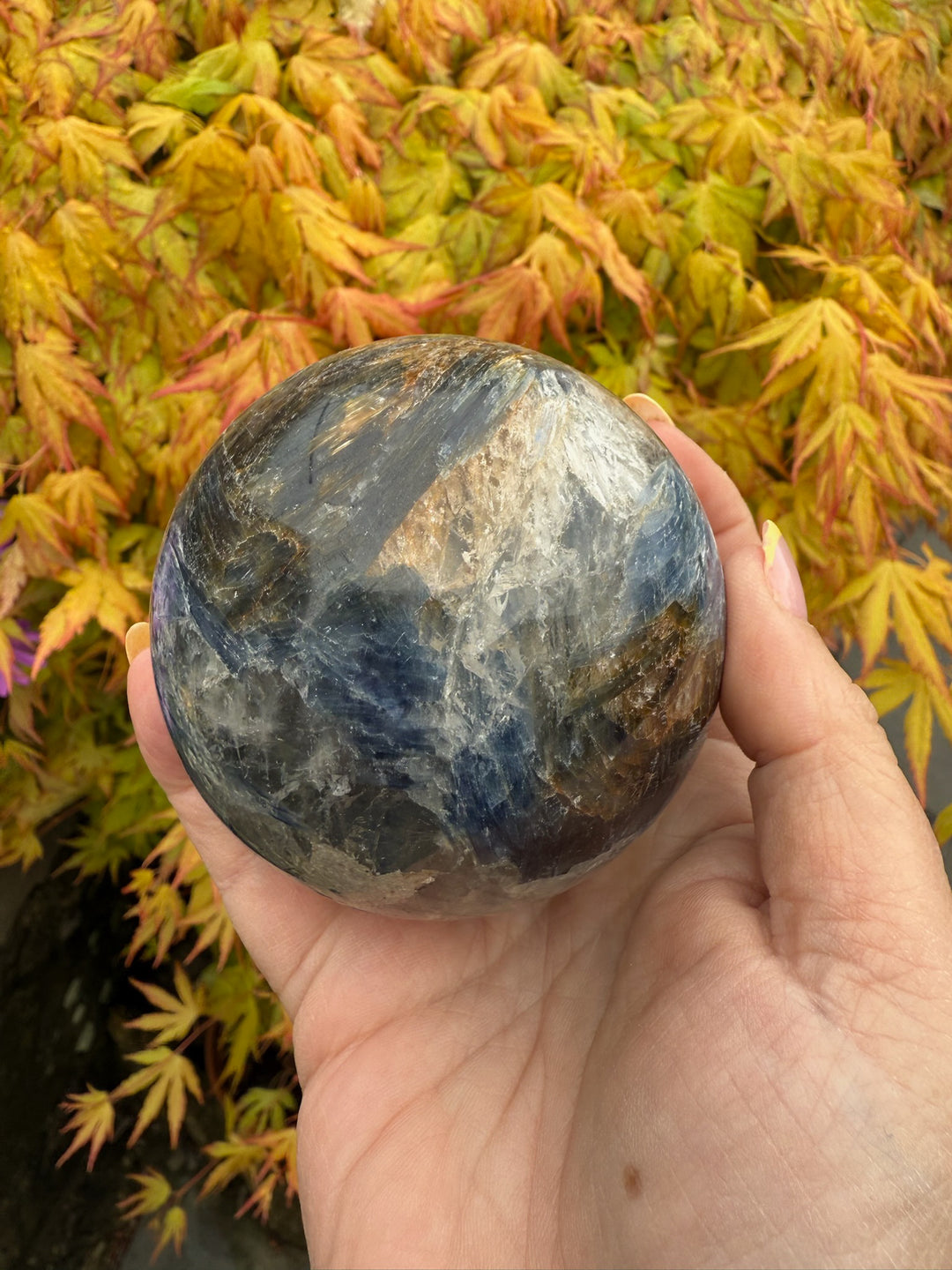 Large kyanite Sphere with Quartz over 7cm