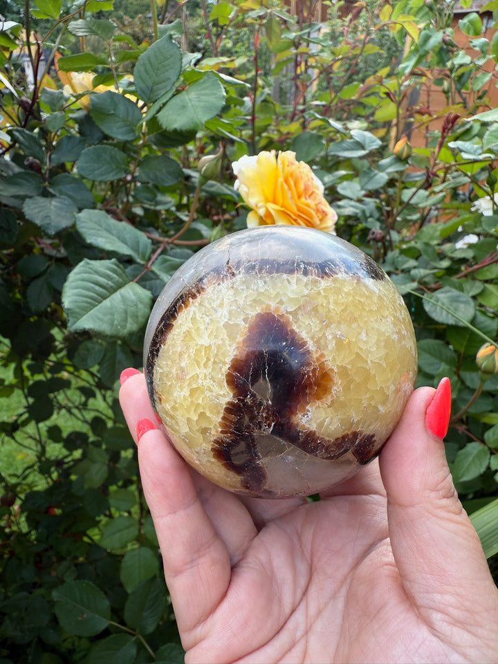 Septarian Sphere 7.5cm