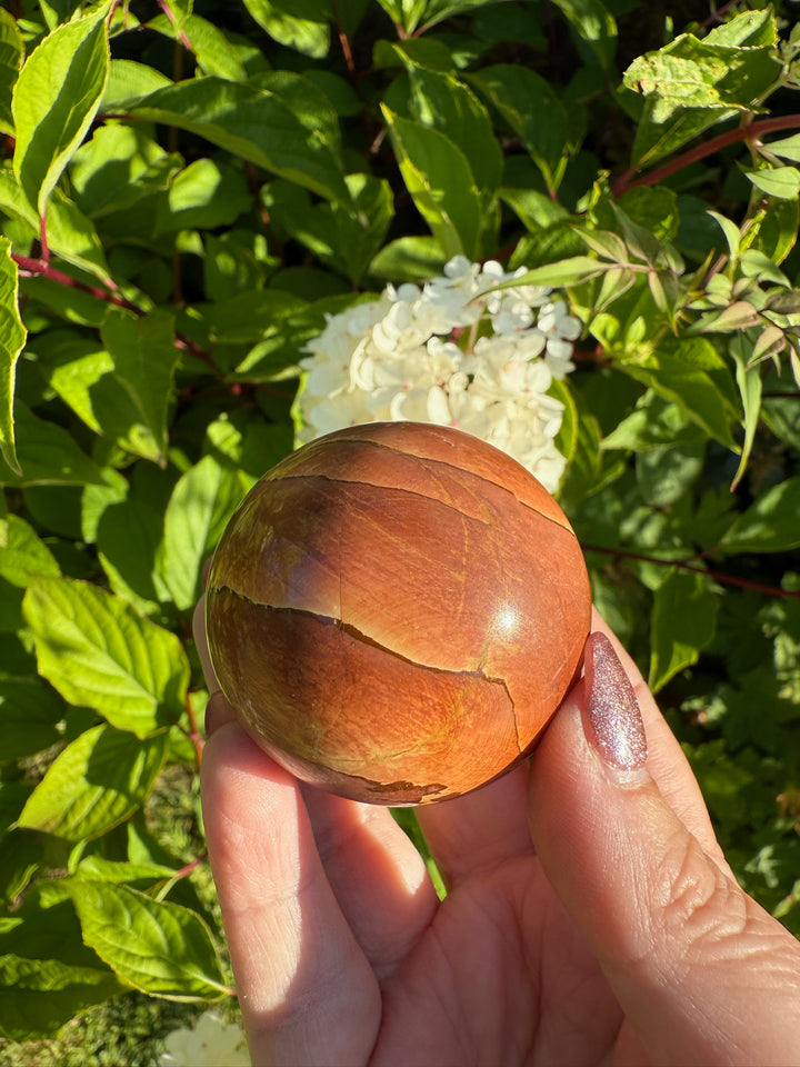 Picture Jasper Sphere 4.8cm dia