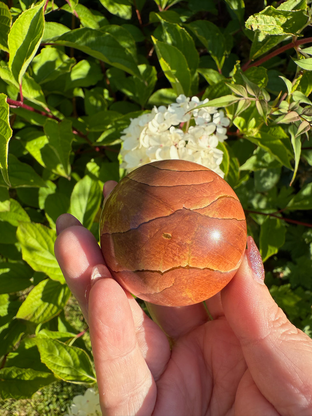 Picture Jasper Sphere 4.8cm dia