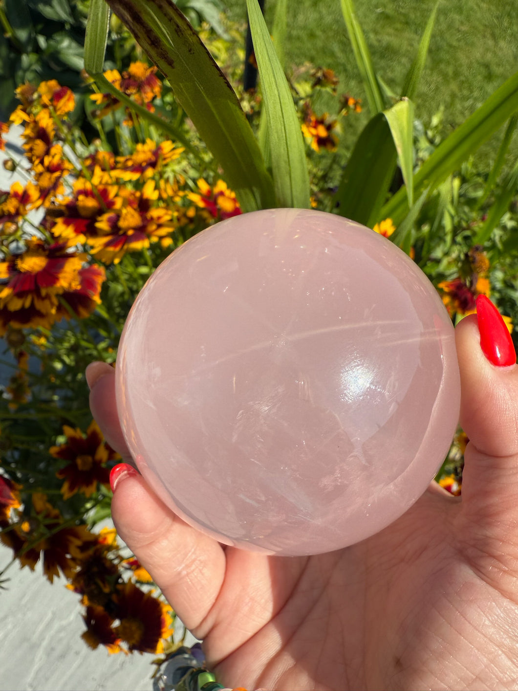 Star Rose Quartz Sphere 7.7cm dia