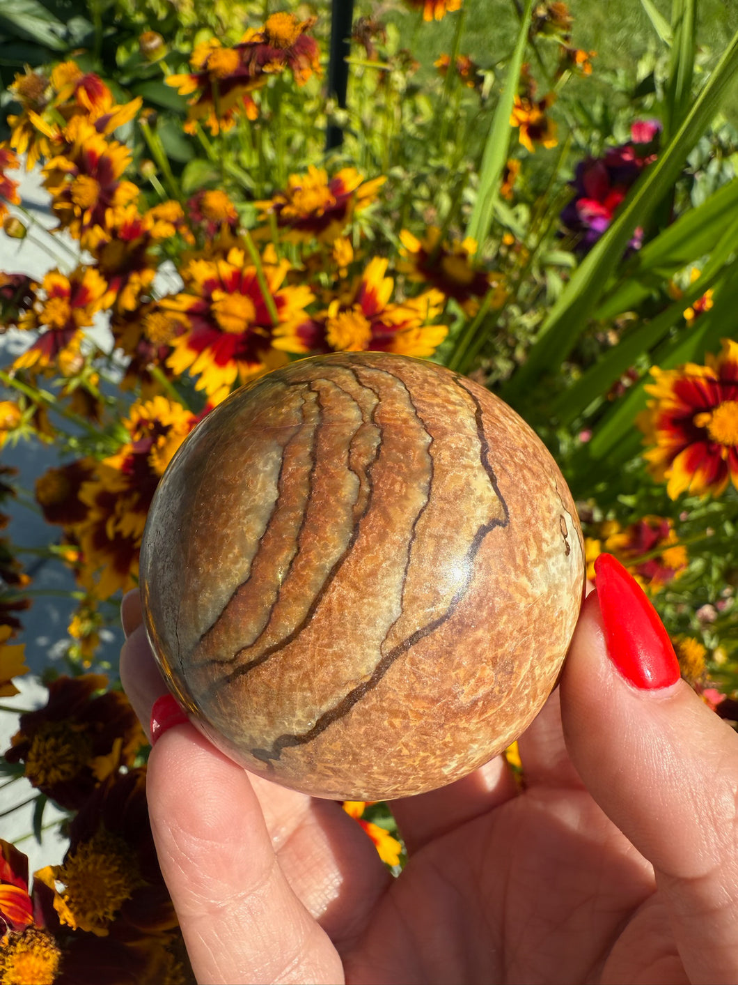Picture Jasper Sphere 5.2cm dia