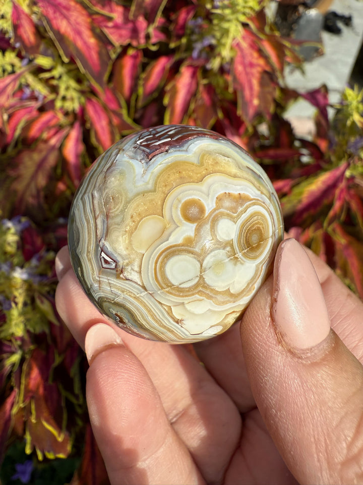 Crazy Lace Agate Sphere with Quartz 3.7cm Diameter