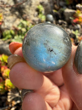 Load image into Gallery viewer, Labradorite Sphere 2.2cm Diameter
