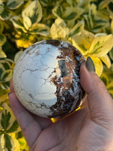 Load image into Gallery viewer, White Wild Horse Turquoise Sphere 7.2cm Diameter
