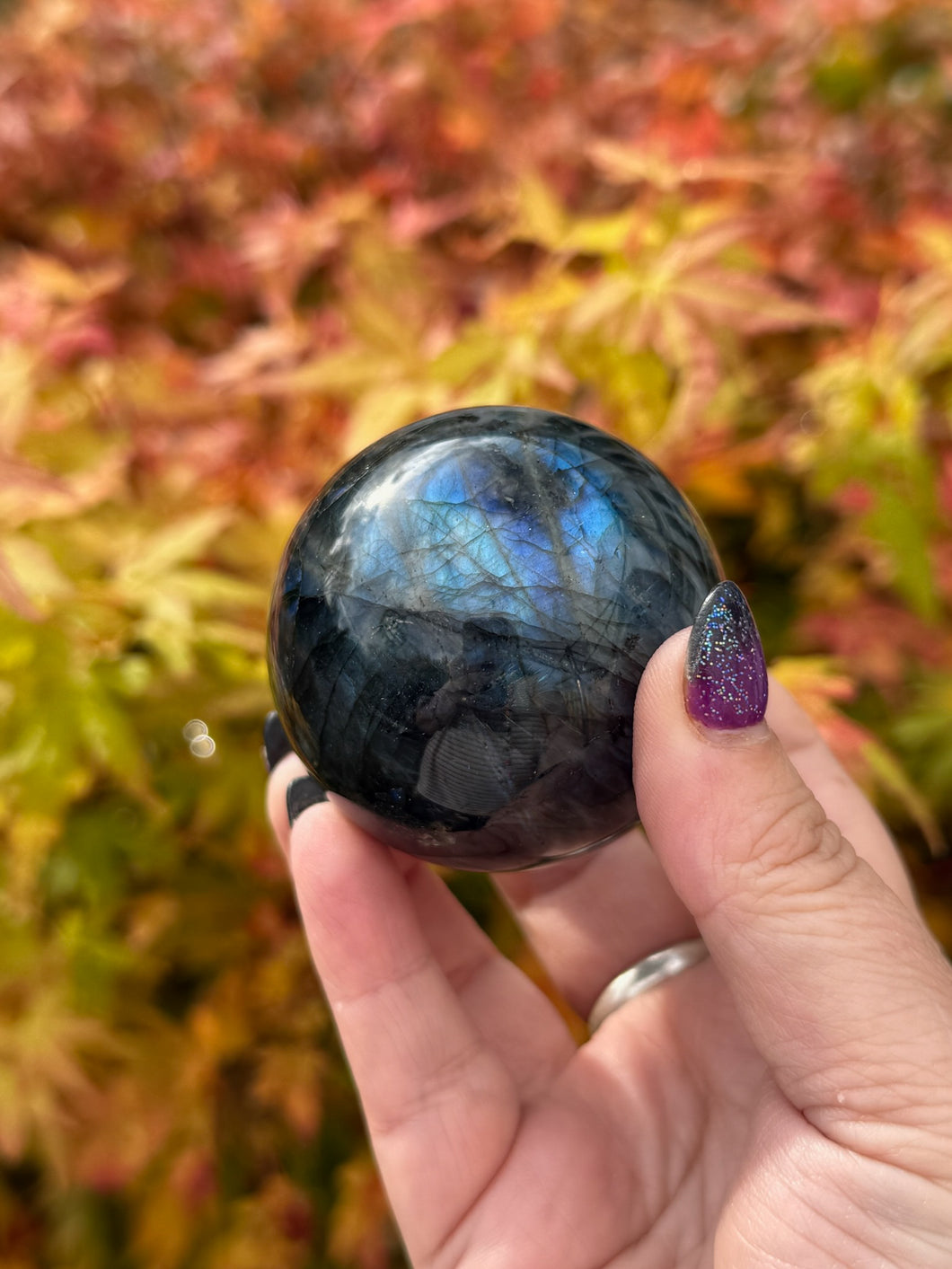 Blue Flash Labdradorite Sphere 5.4cm Diameter
