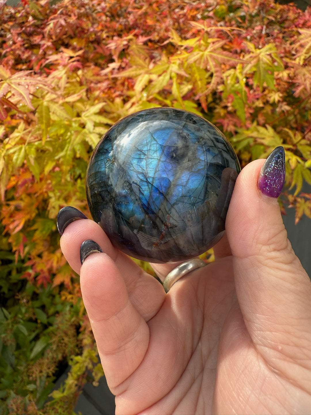 Blue Flash Labdradorite Sphere 5.4cm Diameter