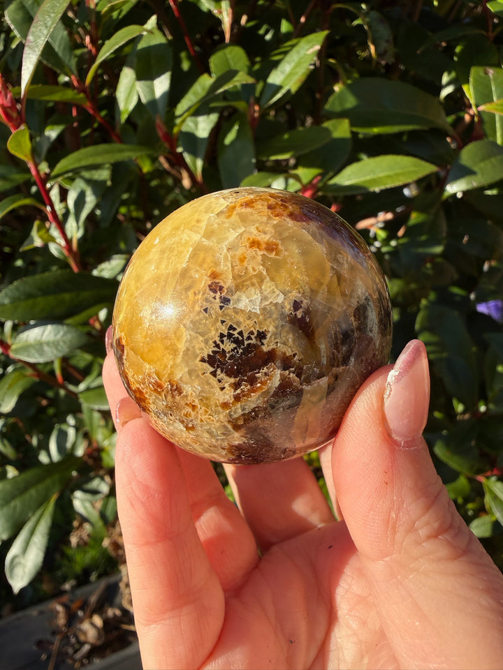Septarian Sphere 5cm Dia