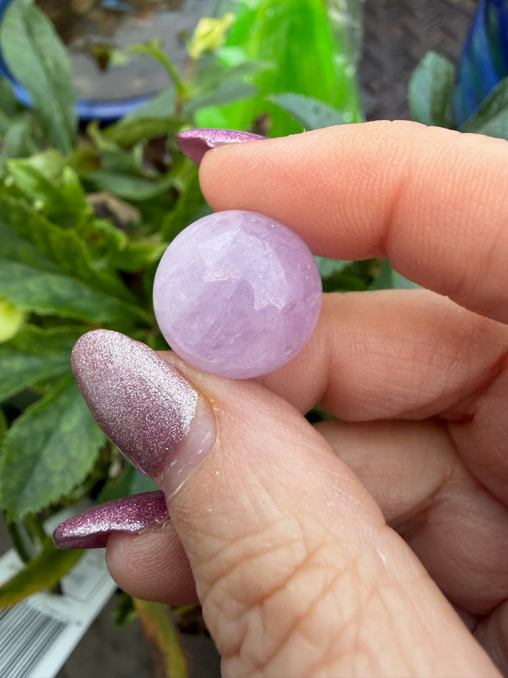 Uv Reactive Kunzite Sphere 1.6cm Dia