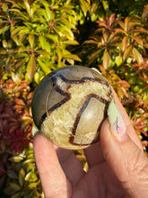 Load image into Gallery viewer, Septarian Sphere 4.8cm Dia
