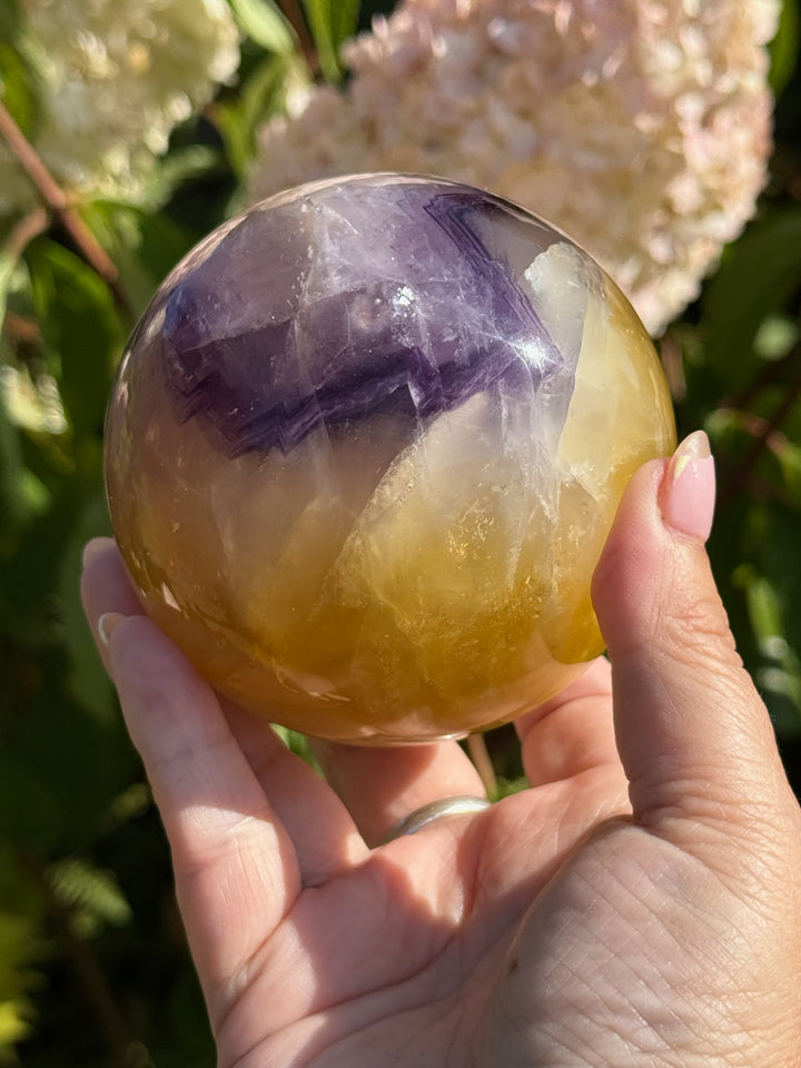 Quality Purple and Yellow Fluorite Sphere 8.1cm Dia