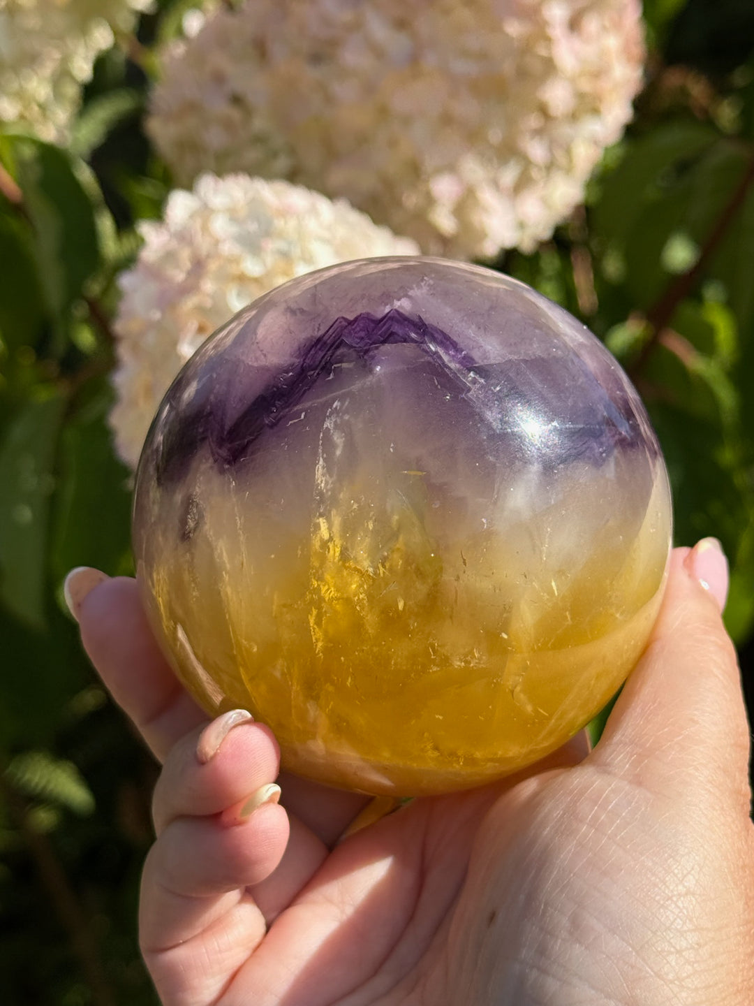 Quality Purple and Yellow Fluorite Sphere 8.1cm Dia