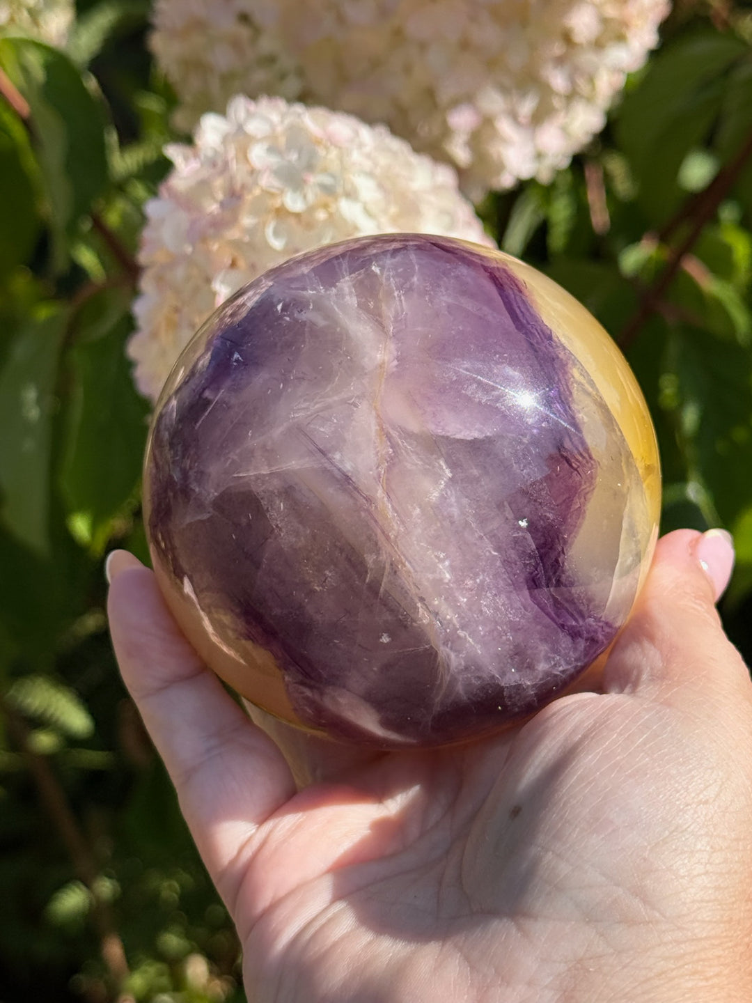 Quality Purple and Yellow Fluorite Sphere 8.1cm Dia